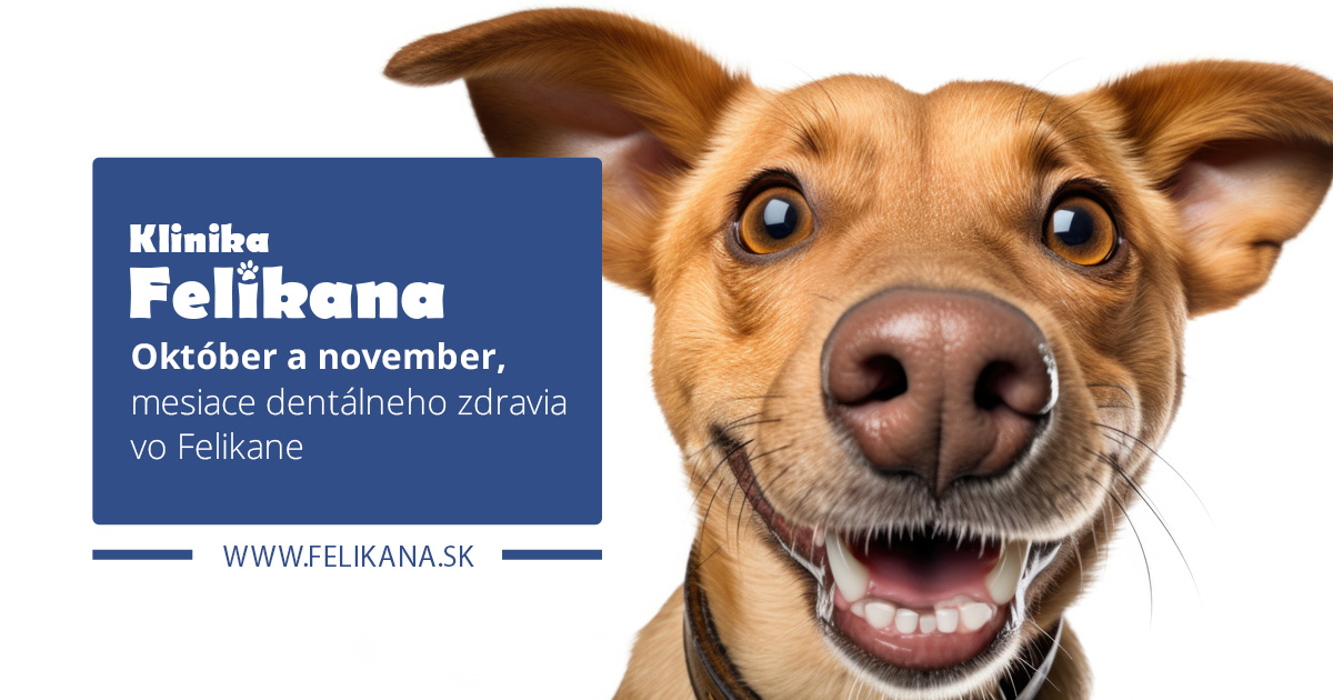 Október a november - mesiace dentálneho zdravia vo Felikane