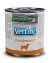 Farmina Vet Life dog convalescence konzerva 300 g kg