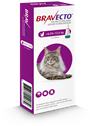 Bravecto Cat L 500 mg spot-on roztok pre veľké mačky ( od 6,25 do 12,5 kg ) 1 x 1,79 ml