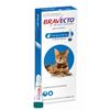 Bravecto Cat M 250 mg spot-on roztok pre stredne veľké mačky ( od 2,8 do 6,25 kg ) 1 x 0,89 ml