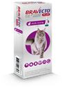 Bravecto Cat Plus L 500 mg / 25 mg spot-on roztok pre veľké mačky ( >6,25-12,5 kg )