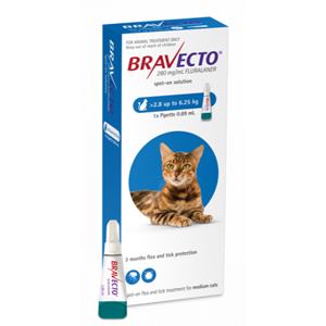 Bravecto Cat M 250 mg spot-on roztok pre stredne veľké mačky ( od 2,8 do 6,25 kg ) 1 x 0,89 ml